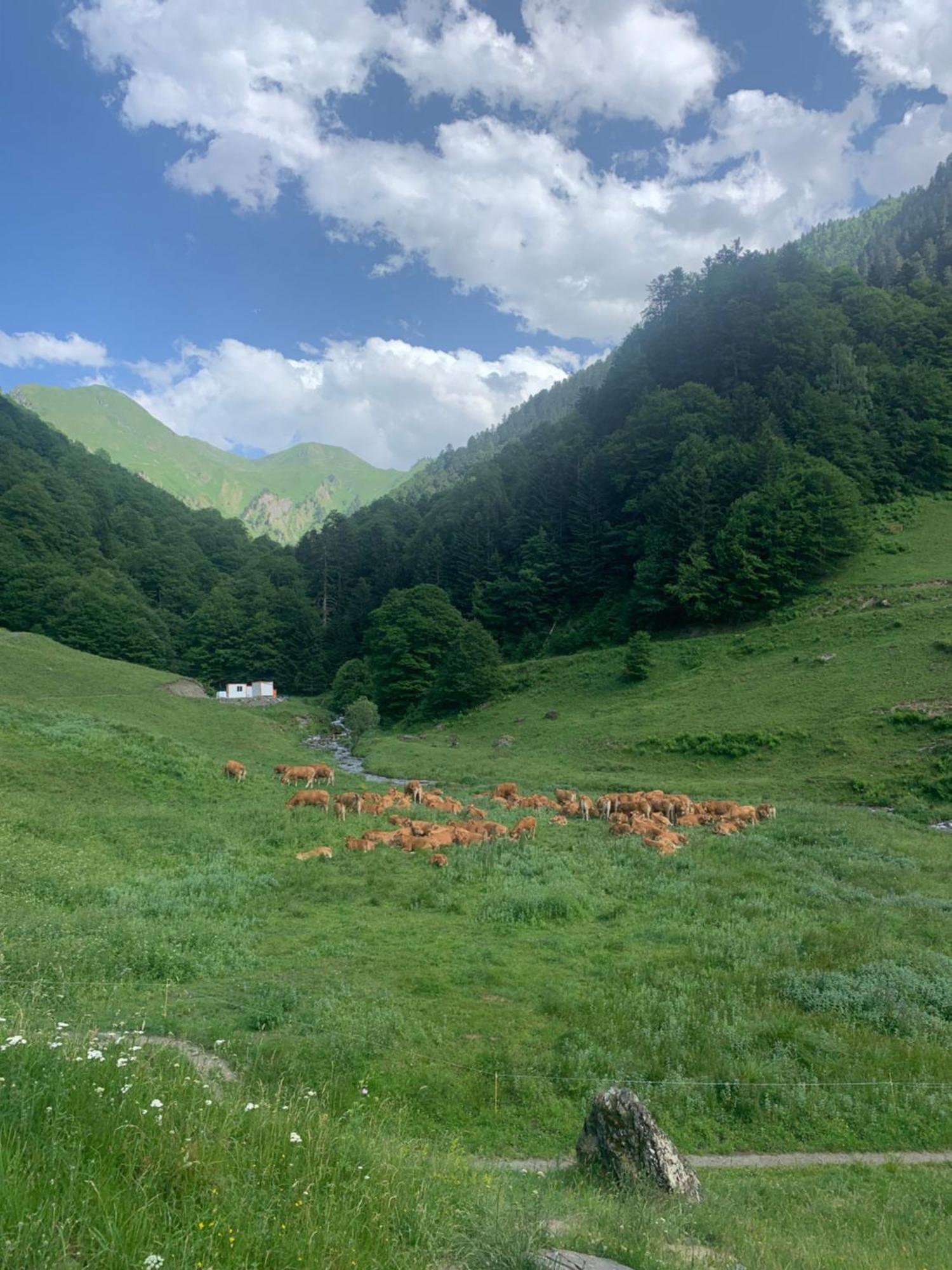 2 Personnes Cures Luchon Bagnères-de-Luchon